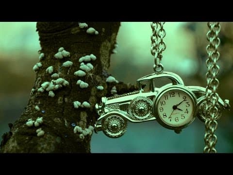 Time Dilation: Moving Clocks Tick Slower thumbnail