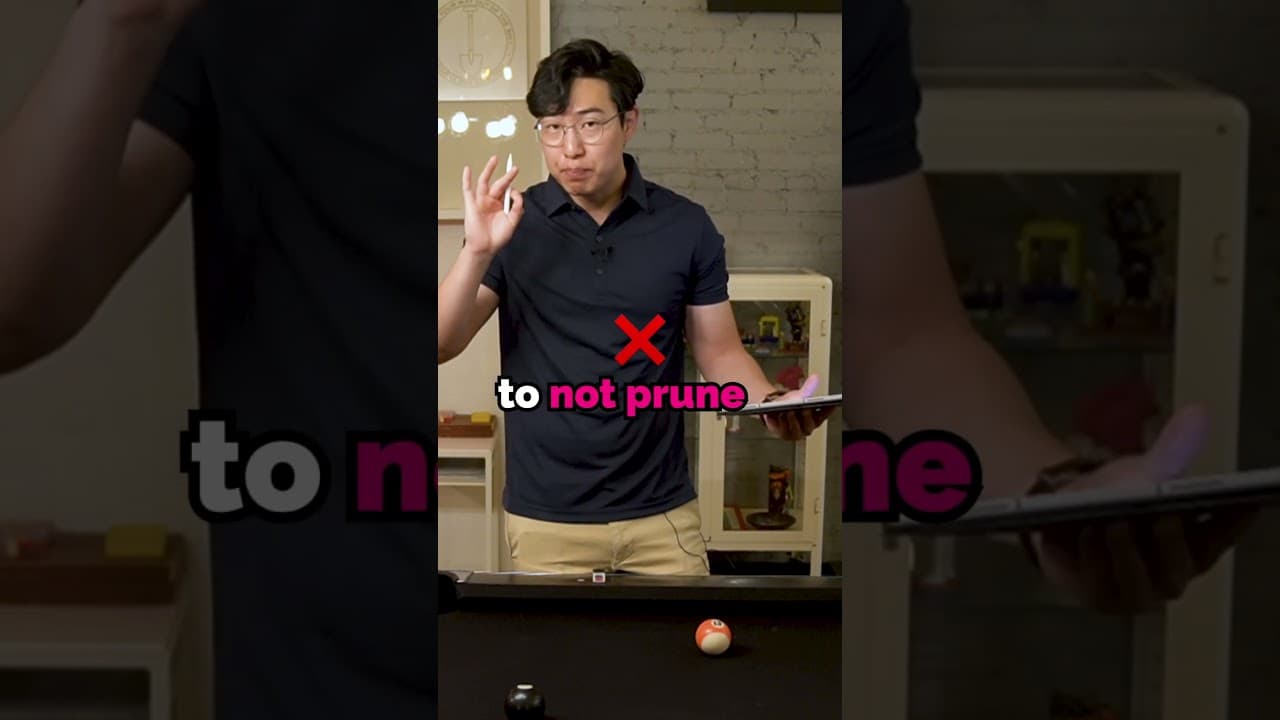 YouTube video player