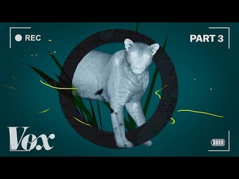 How the BBC films the night side of Planet Earth thumbnail