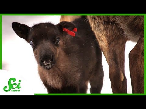 What Can We Learn About Science from Alaska? thumbnail