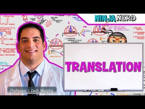 Cell Biology: How Does Translation Turn mRNA Into Proteins During Protein Synthesis? thumbnail