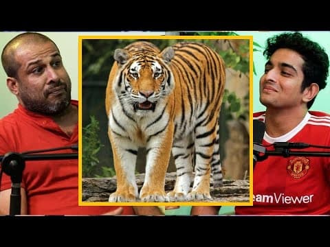 Why Do Tigers Attack Humans but Never Eat Them? thumbnail