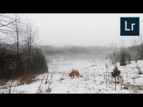 MOODY PHOTOGRAPHY - Tips & Tricks! thumbnail