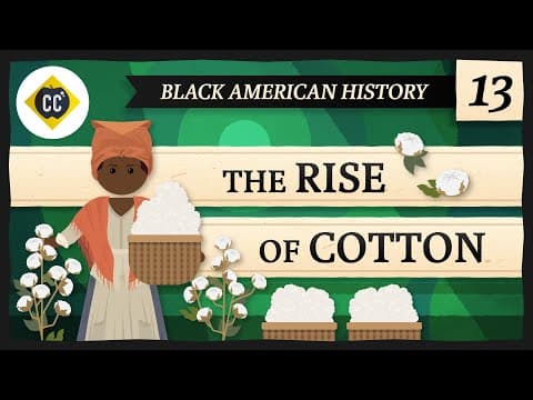 How Did the Cotton Industry Shape American History? thumbnail