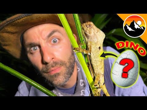 Did I Find a Baby Dinosaur?! thumbnail