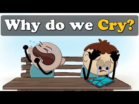 Why do we Cry? + more videos | #aumsum #kids #science #education #children thumbnail