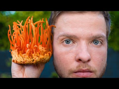I Tried $300 Brain Boosting Mushrooms thumbnail