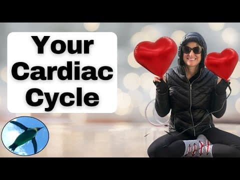 Cardiac Pressure and Volume Loop thumbnail