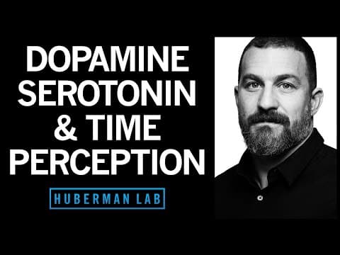 Time Perception & Entrainment by Dopamine, Serotonin & Hormones | Huberman Lab Podcast #46 thumbnail