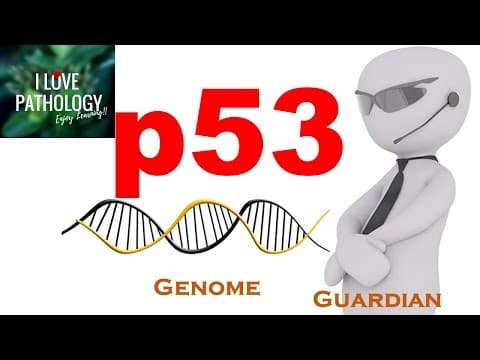 NEOPLASIA 4: p53 gene: The Guardian of the genome. functions, regulation and inactivation thumbnail