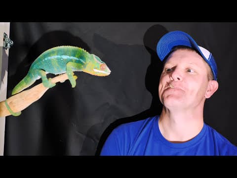 I Fed a Chameleon From My Mouth To Study Its Mouth ( In Slow Motion) | Smarter Every Day 180 thumbnail