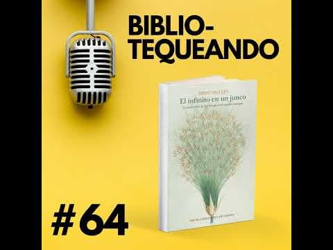 ¿Cómo los libros preservan la memoria humana? thumbnail