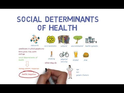 What Makes Us Healthy? Understanding the Social Determinants of Health thumbnail