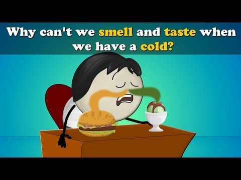 Why can't we Smell or Taste with a Cold? + more videos | #aumsum #kids #science #education #children thumbnail