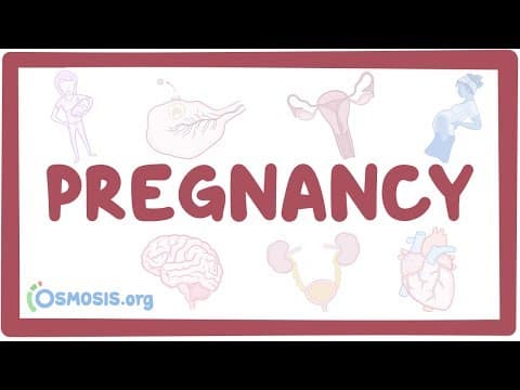 Pregnancy - physiology thumbnail