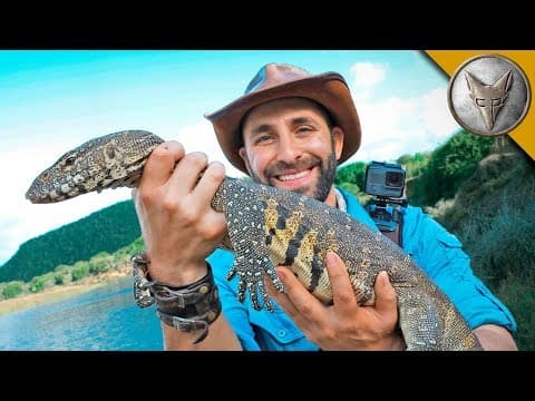 How to Catch a Nile Monitor Lizard in the Wild? thumbnail