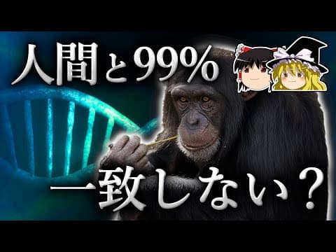 人間とチンパンジーのDNAは、本当に99%一致しているのか？【ゆっくり科学】 thumbnail
