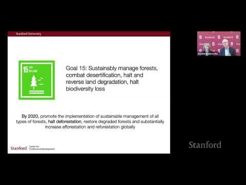 Stanford Webinar - Ecosystems of Change: Partnering to increase the impact of sustainability efforts thumbnail