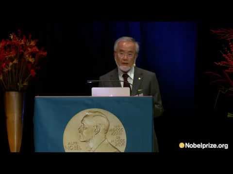 Nobel lecture: Yoshinori Ohsumi, Nobel Laureate in Physiology or Medicine 2016 thumbnail