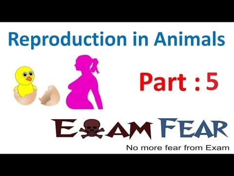 Biology Reproduction in Animals Part 5 (Sexual development, Gametes) Class 8  VIII thumbnail