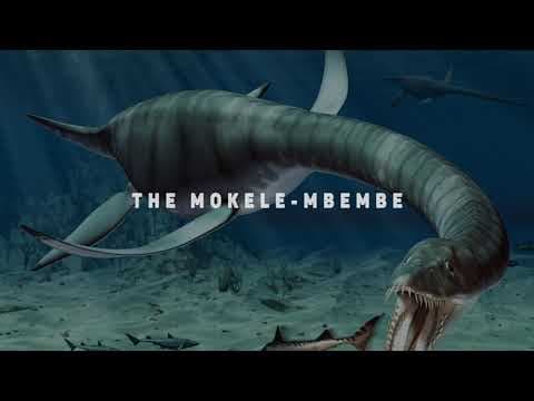 Are Dinosaurs Still Alive? 10 Captured on Camera thumbnail