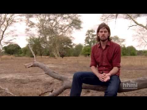 Niche Partitioning and Species Coexistence | HHMI BioInteractive video thumbnail