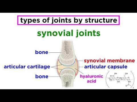 Joints: Structure and Types of Motion thumbnail