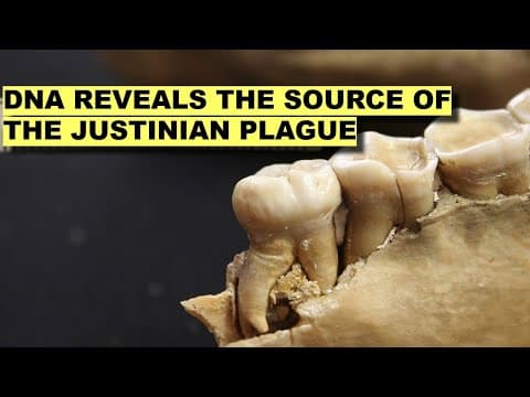 Ancient DNA Finally Reveals the Source of the Justinian Plague – And Why It Was So Deadly! thumbnail