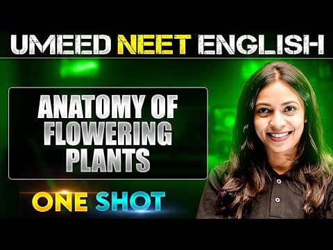 ANATOMY OF FLOWERING PLANTS in 1 Shot | All concepts Covered | UMEED NEET in Pure English thumbnail