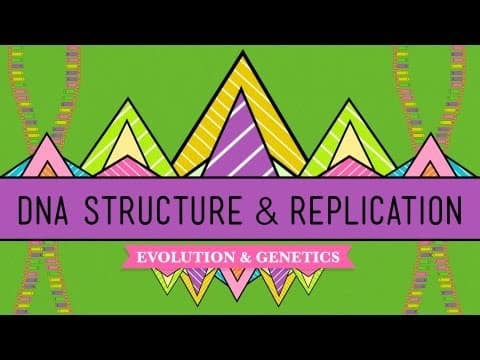 How Does DNA Structure and Replication Work? thumbnail