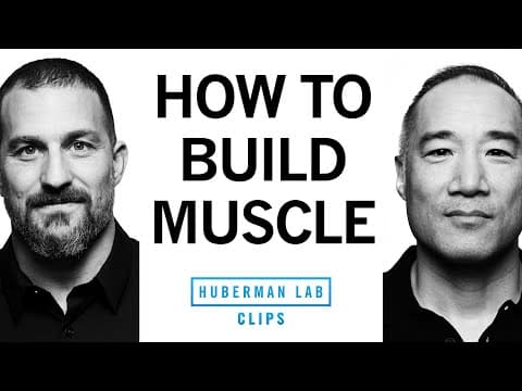 How to Maximize Muscle Protein Synthesis | Alan Aragon & Dr. Andrew Huberman thumbnail