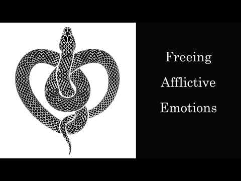 Longchenpa ~ Freeing Afflictive Emotions ~ Dzogchen thumbnail