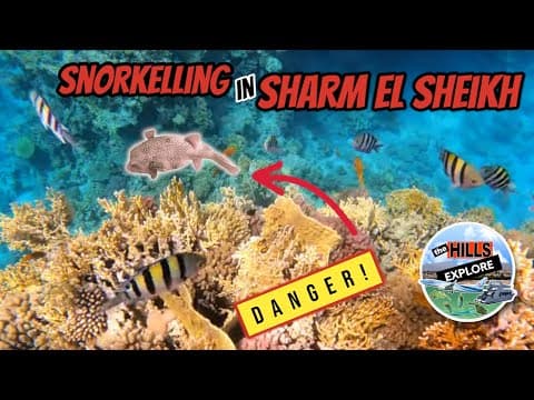 SHARM EL SHEIKH - CORAL SEA WATERWORLD - EGYPT 🇪🇬 PART 1 thumbnail