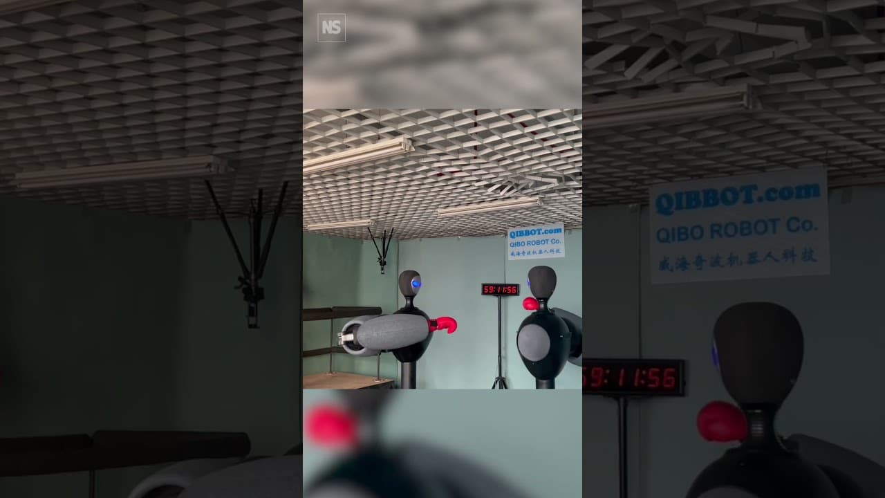 YouTube video player