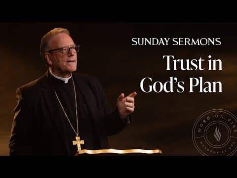 Trust in God’s Plan - Bishop Barron’s Sunday Sermon thumbnail