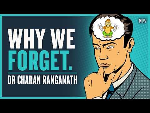 The Neuroscience Of How To Improve Your Memory & Focus - Dr Charan Ranganath thumbnail