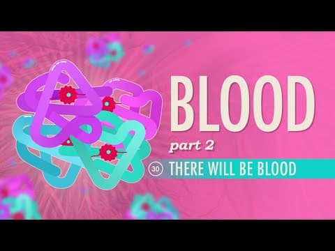 Blood, Part 2 - There Will Be Blood: Crash Course Anatomy & Physiology #30 thumbnail