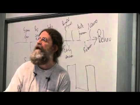 16. Human Sexual Behavior II thumbnail
