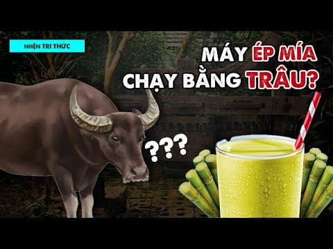 Những vật dụng xưa ít gặp hiện nay là gì? thumbnail