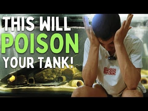 Don’t Make These Beginner Mistakes in Your Aquarium! thumbnail