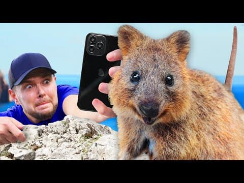 How to Snap the Perfect Selfie with a Quokka thumbnail