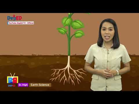 SHS EARTH SCIENCE Q1 Ep1: Characteristics of the Earth that are Necessary to Support Life thumbnail