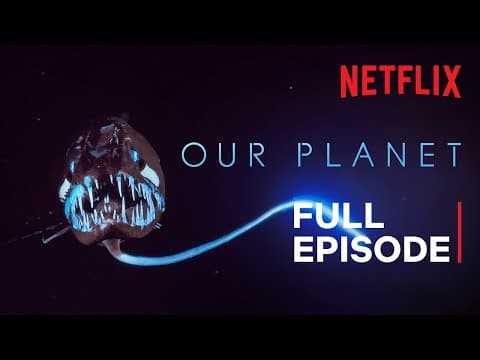Our Planet | High Seas | FULL EPISODE | Netflix thumbnail