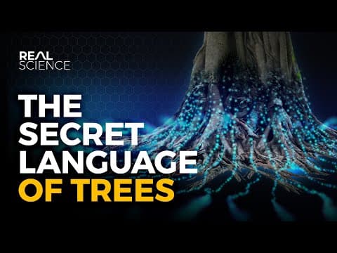 The Secret Language of Trees thumbnail