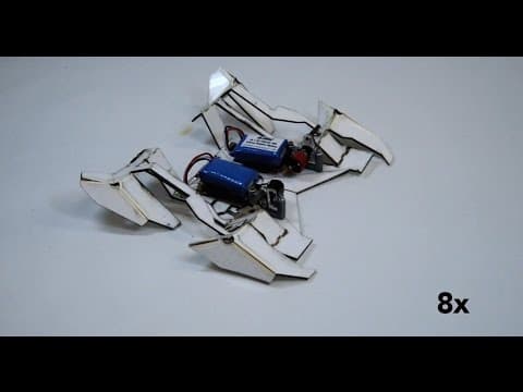 Self-folding robots thumbnail