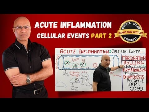 Acute Inflammation Cellular Events | Rolling | Selectins | Immunology | Part 2 thumbnail