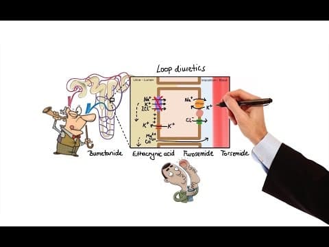 Pharmacology - DIURETICS (MADE EASY) thumbnail