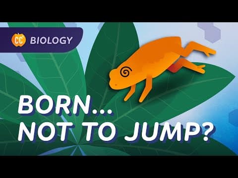 Why Are Pumpkin Toadlets Bad at Jumping? thumbnail