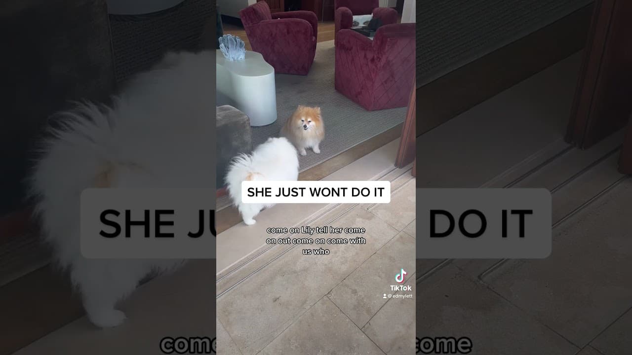 YouTube video player