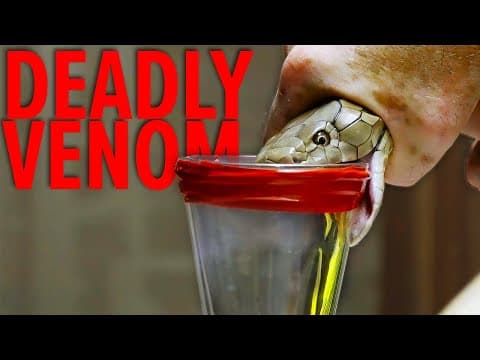 What Are the Most Dangerous Jobs Involving Snakes? thumbnail